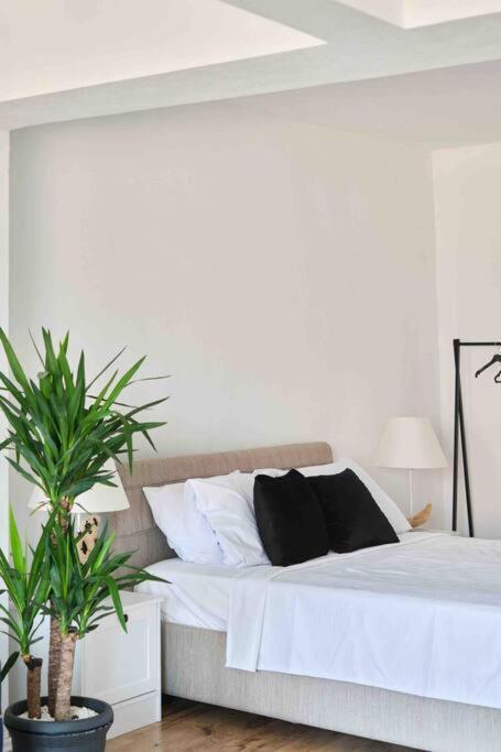 Appartamento Alize Galata D3